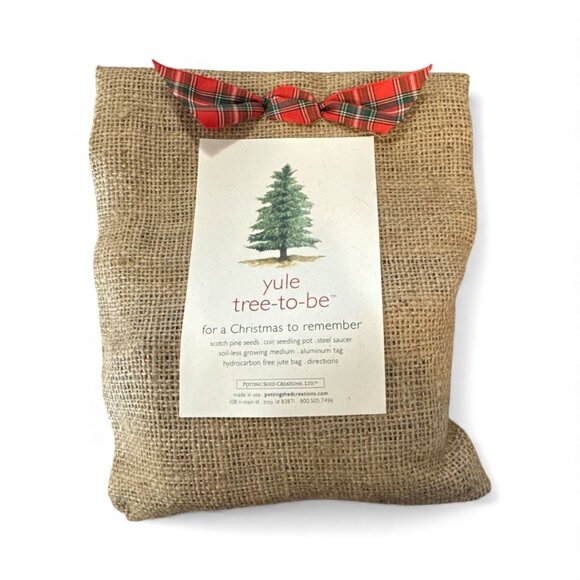 Yule Tree-To-Be Burlap Kit With Seeds Pot & Instructions For Holiday Tree Growin - Picture 2 of 6